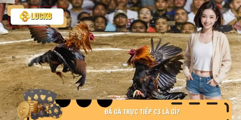 Đá gà trực tiếp C3 là gì?
