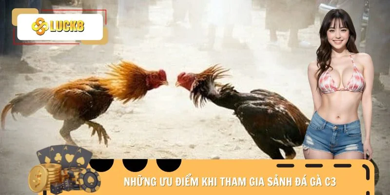Những ưu điểm khi tham gia sảnh đá gà C3