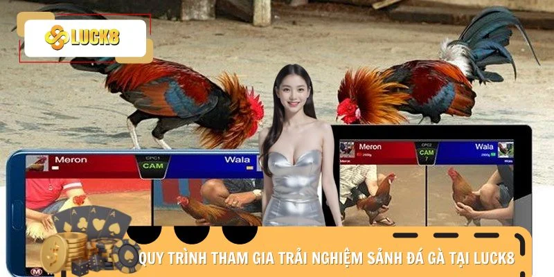 Quy trình tham gia trải nghiệm sảnh đá gà tại Luck8
