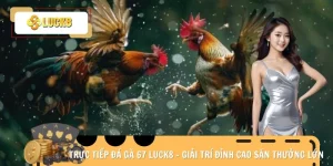 Trực tiếp đá gà 67